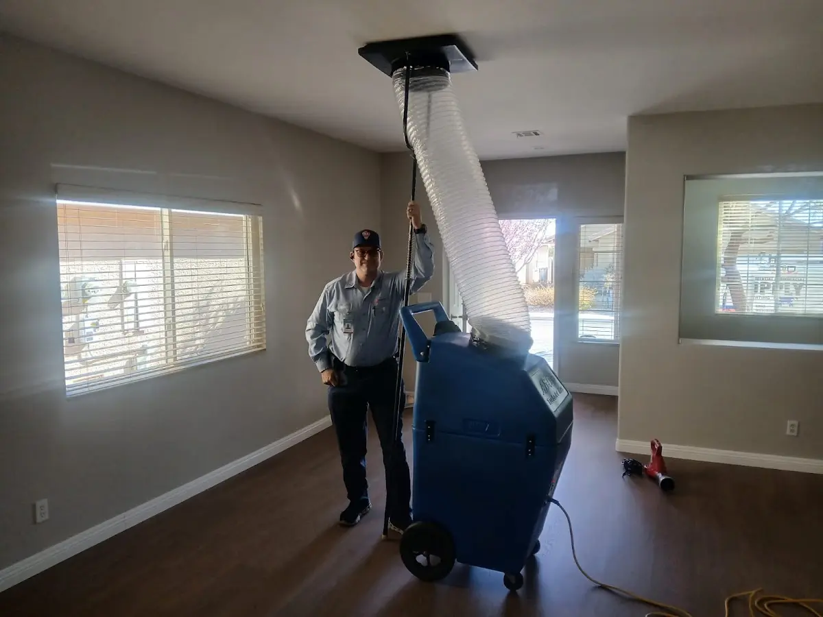 Professional Dryer Vent Cleaning work inside a Godfrey home